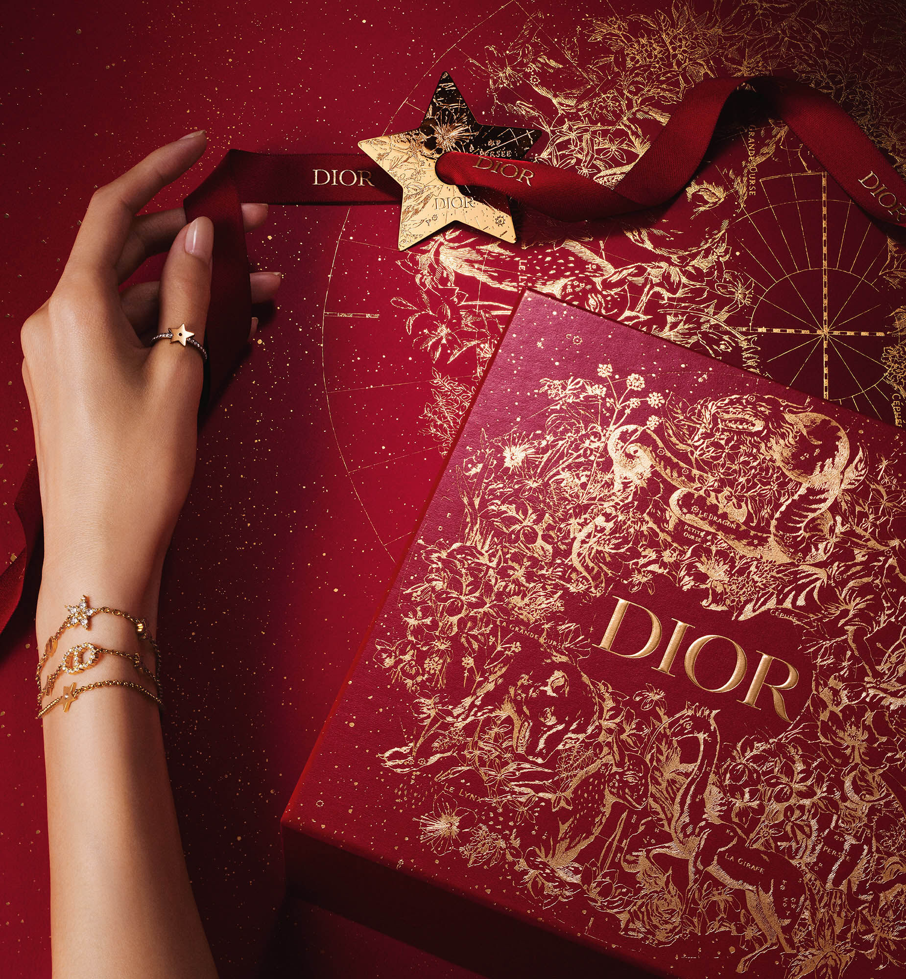 Dior  Chinese New Year 2020  3D Motion Design